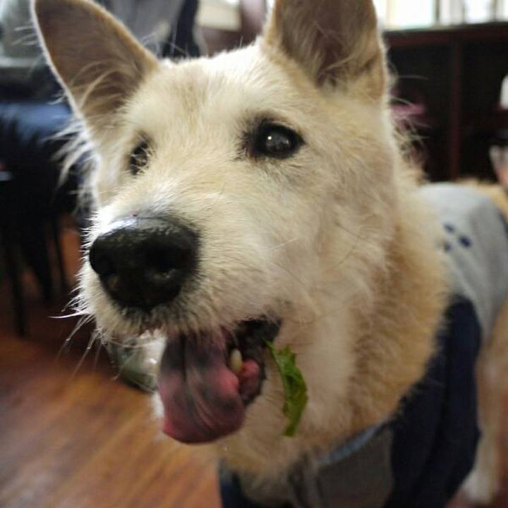 293ae313 914f 4110 9995 8fc4b5a34fba