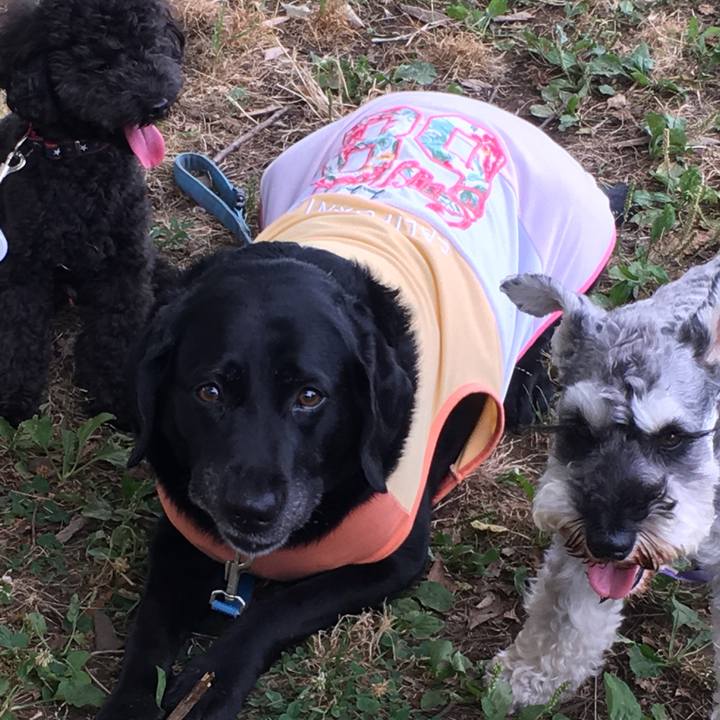 293bb772 80fa 470f a291 72f949441e34