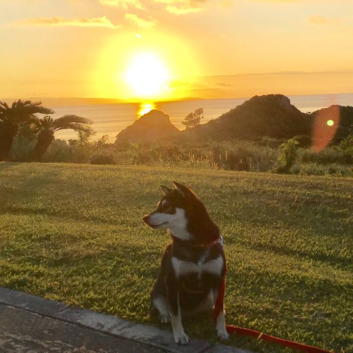 293bc236 808b 463b a531 3025c270403b