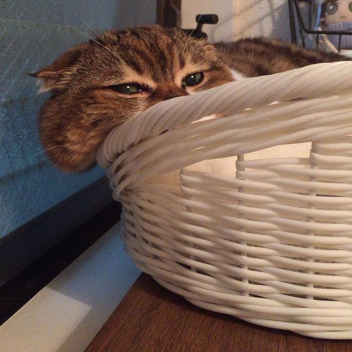 293bcc21 e6b6 4297 9ec1 b139df92cc3d