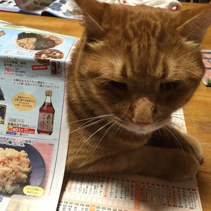 293c2d63 376d 462d 996d e5101b1954f7