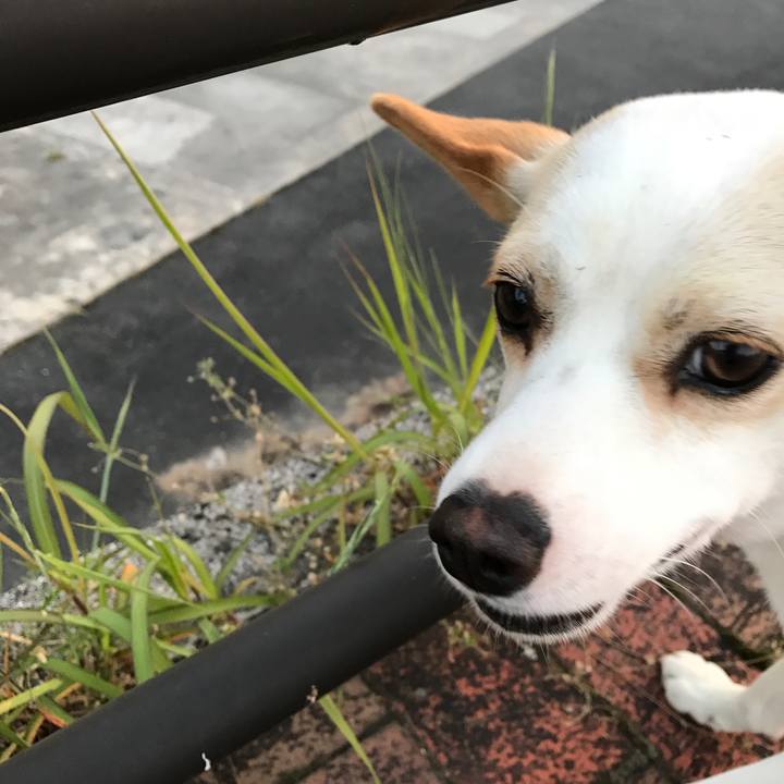 293cb558 7d61 4ad6 a72b 36a69cbc200c