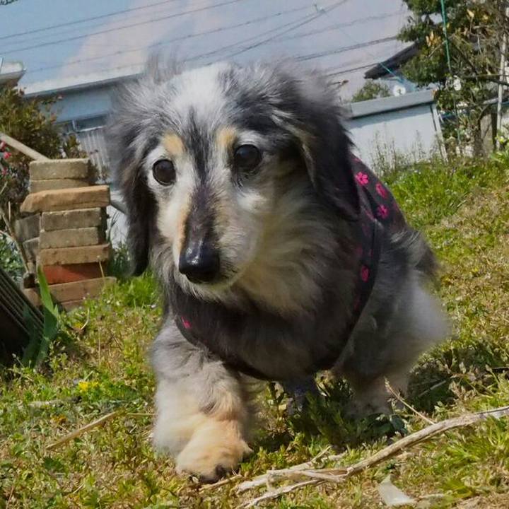 293d5e44 9d92 4d41 8ead f07adc80c83f