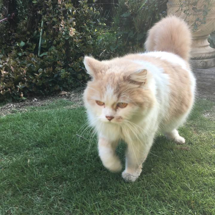 293d8ac3 231b 4f4b 9ab6 e45d7dba2d12