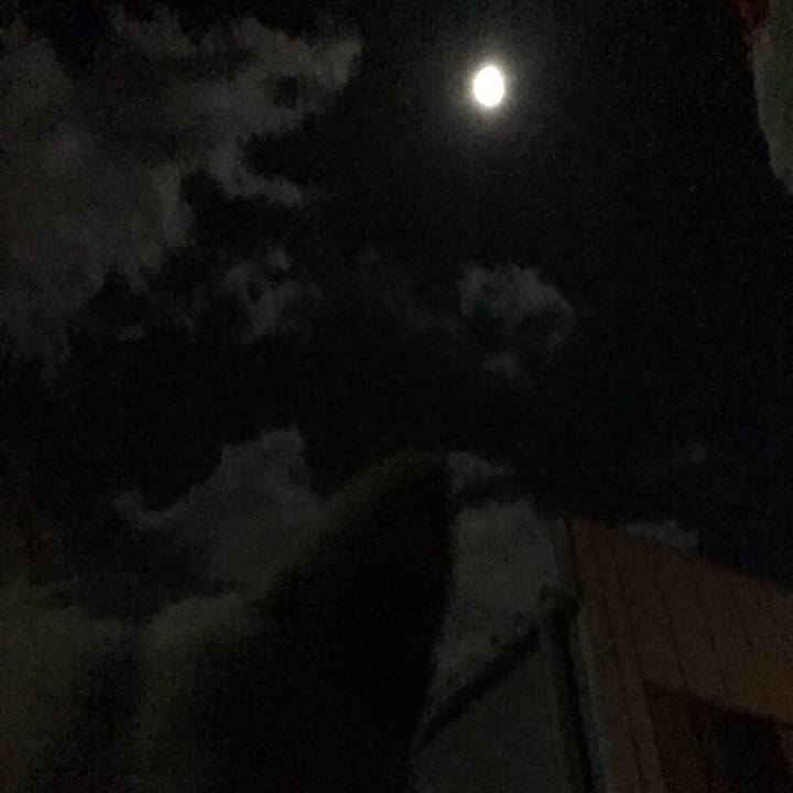 293f207f 8c8a 4348 bcb5 31c66b98d04c