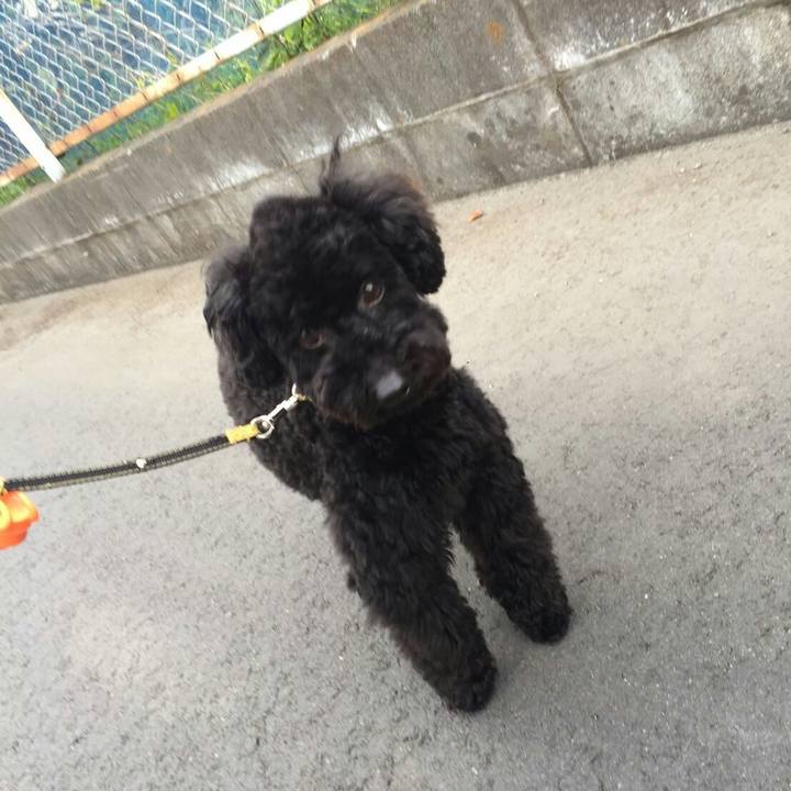 293f2da6 4b6b 4218 9a75 37e2afb1c9a7