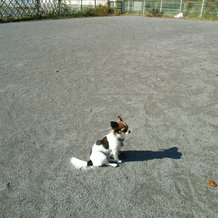 293fb057 916f 4cb6 8466 b7d988252f28