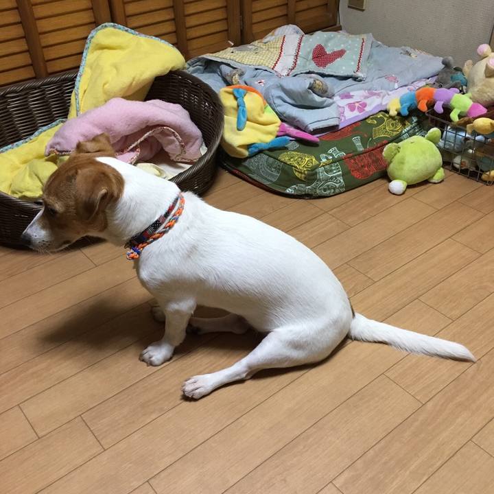 293fe06f fb33 40b1 b1a6 312245b67846