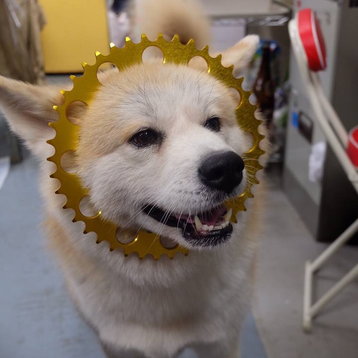 294089e2 bfaf 4c36 8fb5 f7d21ed839c8