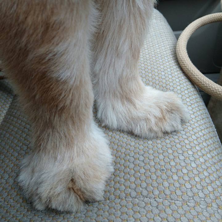 2941b092 199f 4231 9e3b 6e4ba6de9880