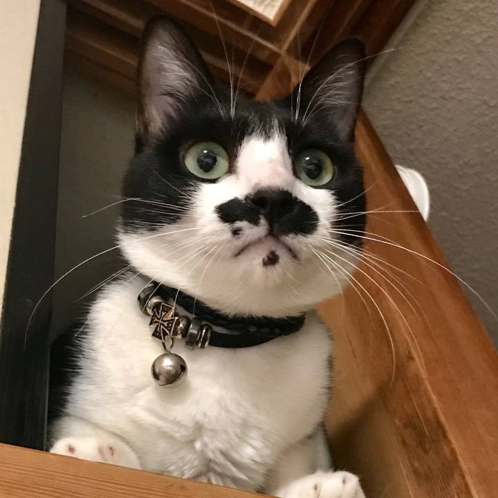 29426632 63e3 45af 960b e0d8631f5d50