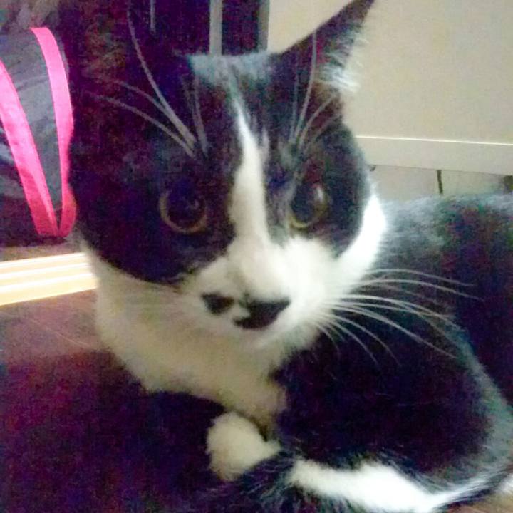 2942e4ae b046 433f aa00 ee73c17e3730