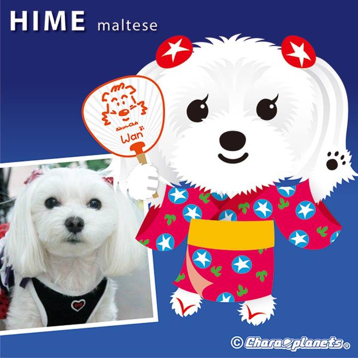 2943062e 30bf 4dcc 94cb 037c7e54517f