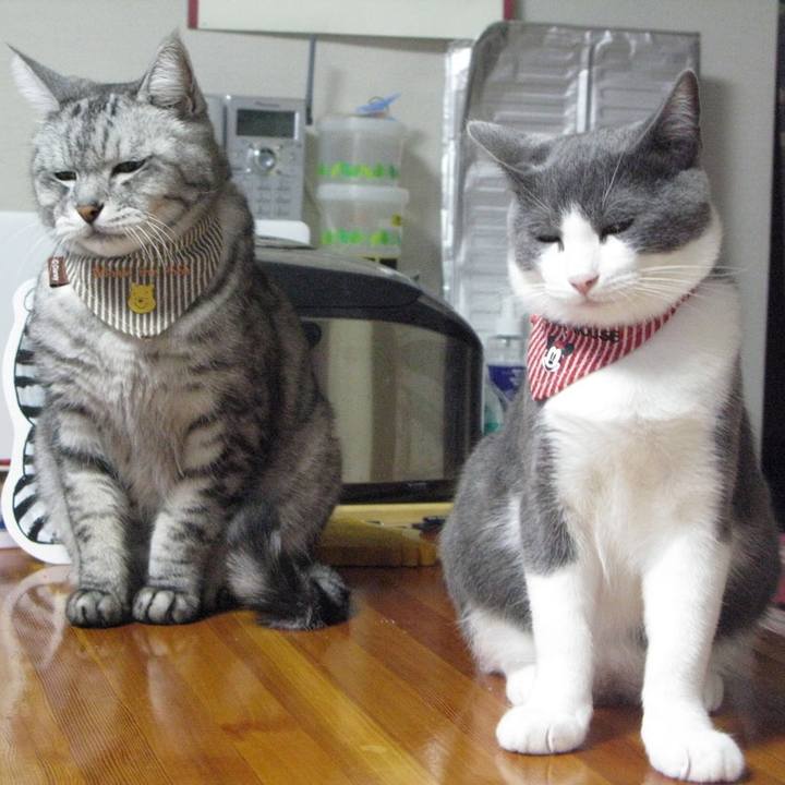 29433750 cde1 4f8f 8fe6 ebbe55fe99a4