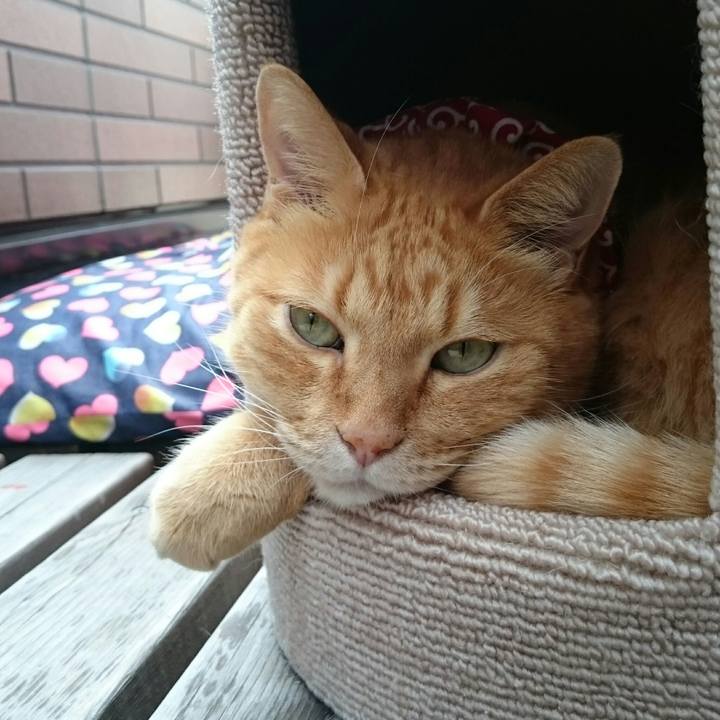 2943625b 749e 44f6 9edc 1fa1d9d21d5e