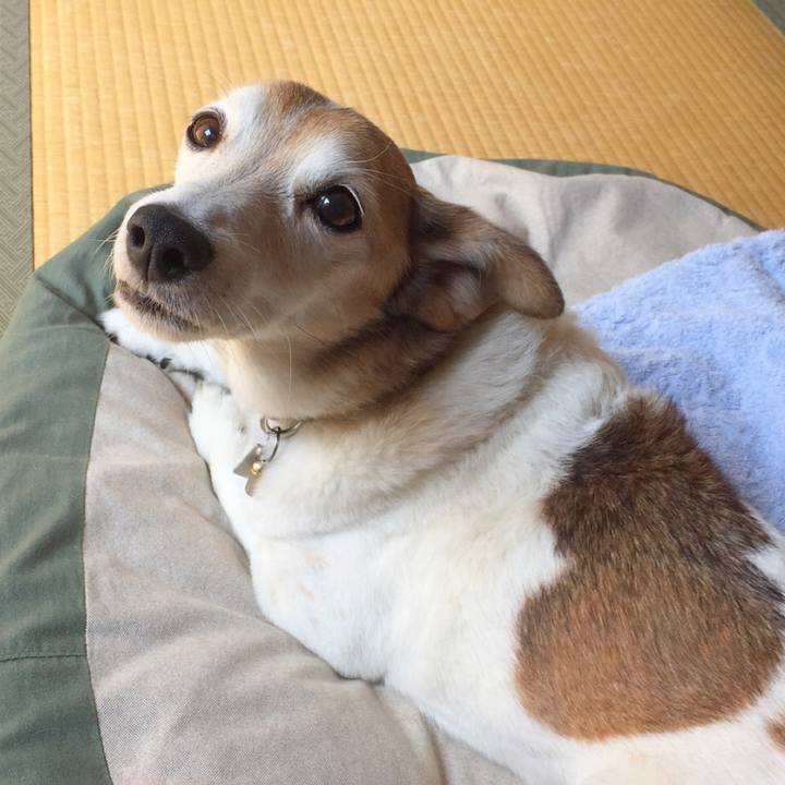 29449708 a578 4382 8dd7 0af2303521b7