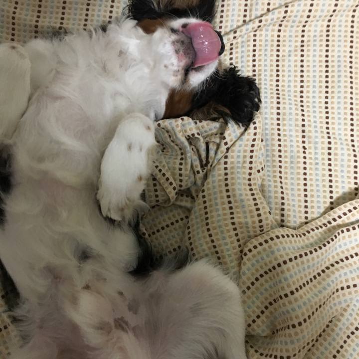 29458c04 5e98 4b20 ae0b 2f9af0819ed7