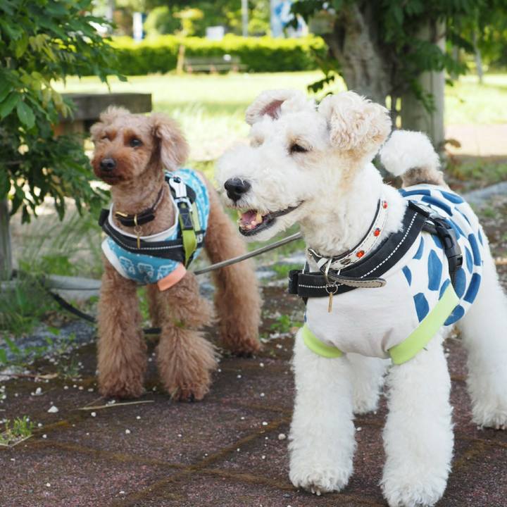 2945b5d8 9b5c 43e4 978e bf64fb35f724