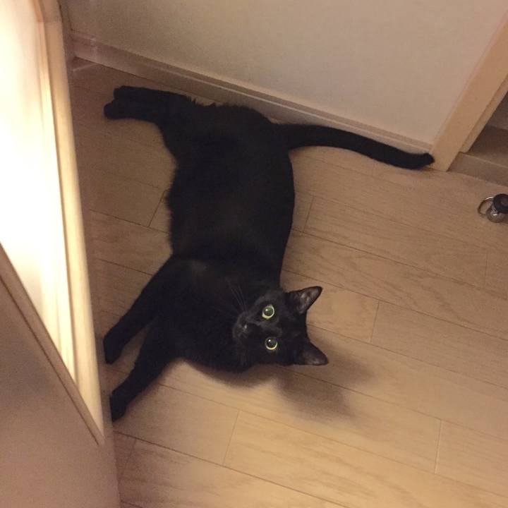 2945e13f bd66 4f80 9699 ba0a3a1cce5f