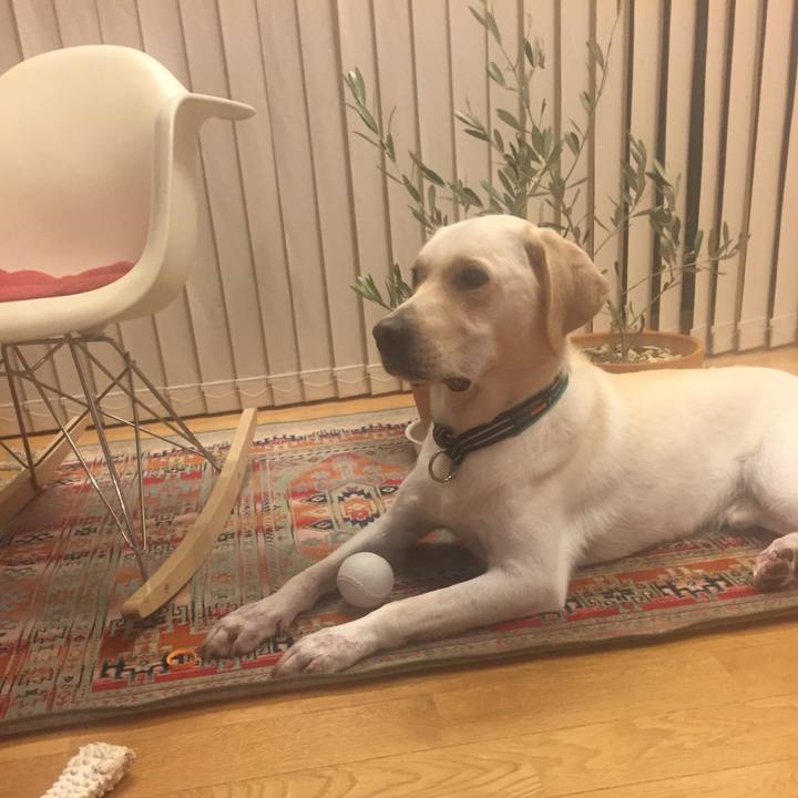 294625fb e4ab 4c13 b2e6 dc9bdbefa9e5