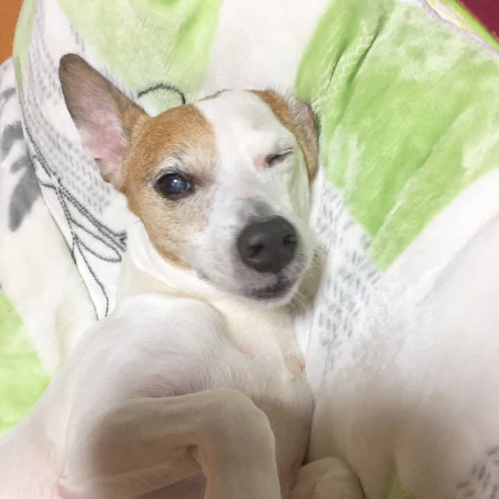 29464ac5 05e8 4997 a62c a6e1ddf6a464