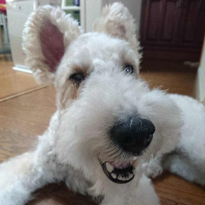 29477758 a34d 4a7e b938 51606a7af028