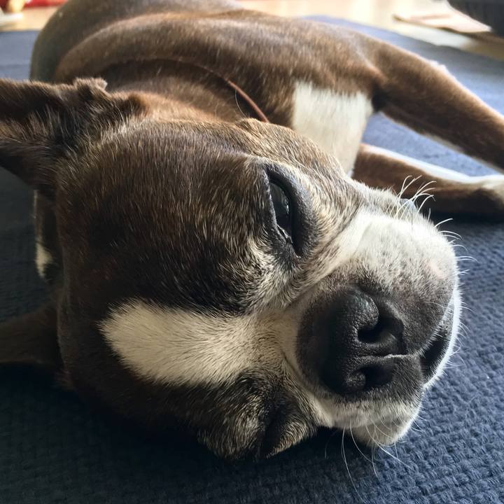 2947a861 ca34 4090 babe 88299a720710