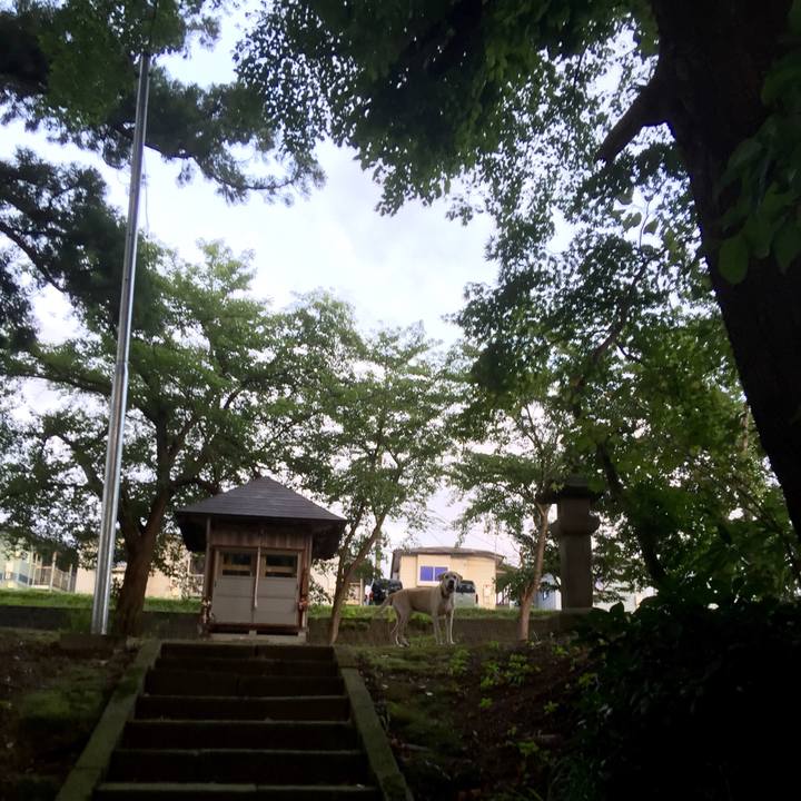 2947ac94 be4a 453d 90c4 aec0e9b5d1c5