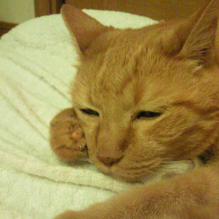 2947fc50 34f3 4e0e a281 3ec4b516088d