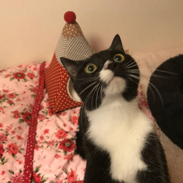 29482944 c01b 4772 8d81 bee90475a6b2