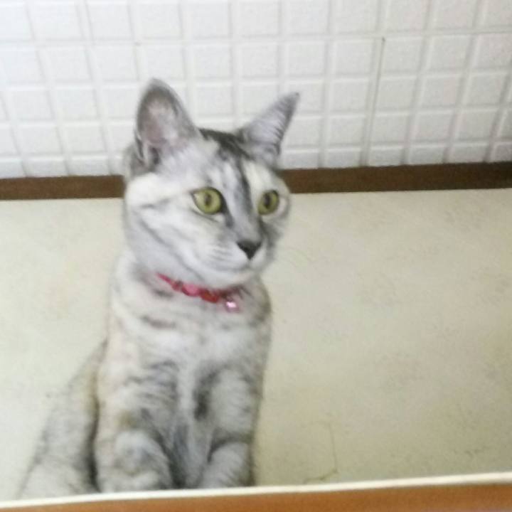 294983c3 d1ba 47a6 b159 69689605a47b