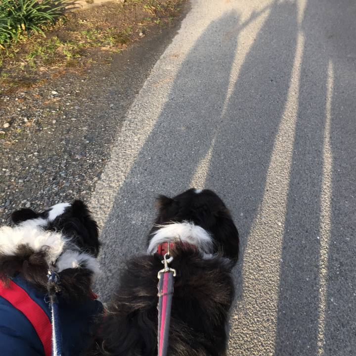 29499c14 a412 4fdb adba 4b662f98ae3a