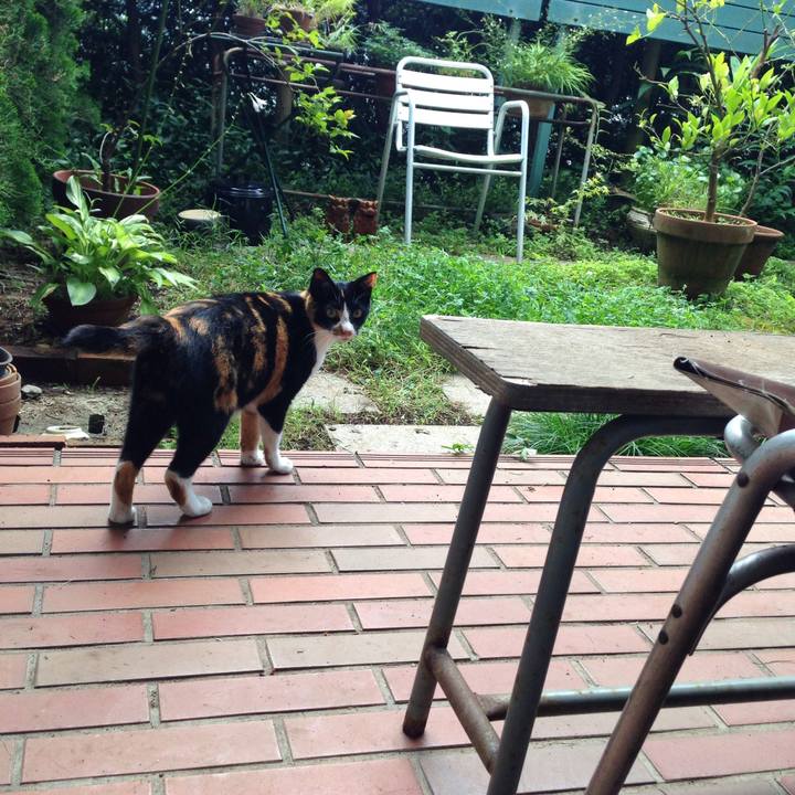 2949d073 23d9 4abd 8979 fdcebb147ea7