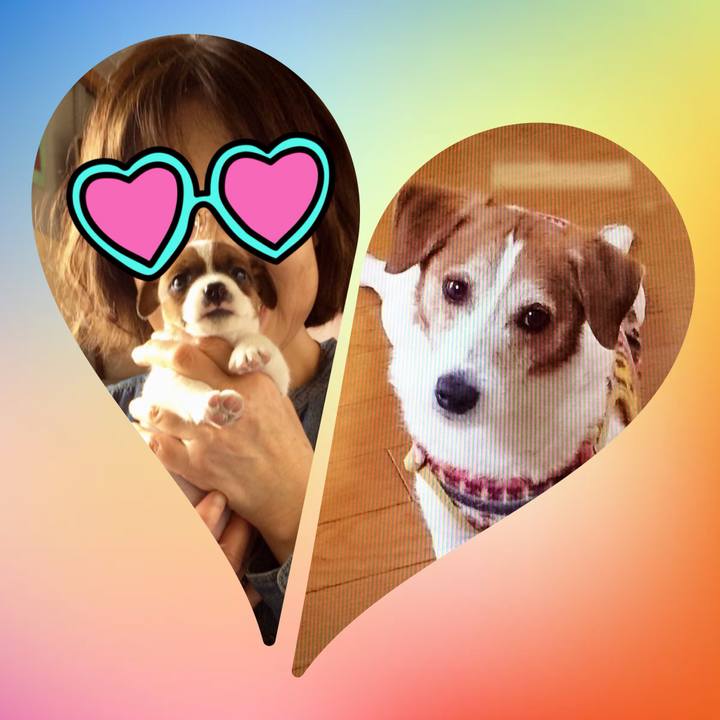 294aa188 967c 4655 acc8 096fb865fb77