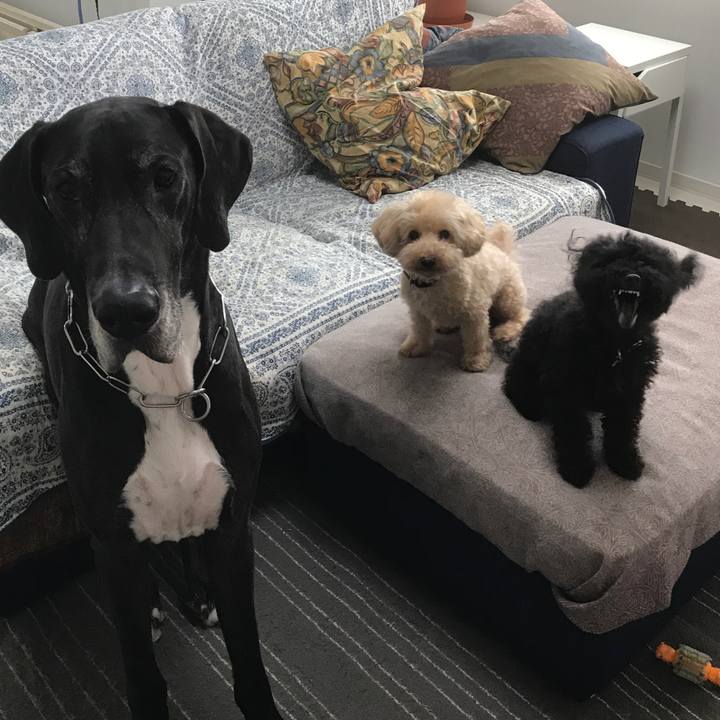 294aacb8 61a9 4309 9d7a 410742542c53