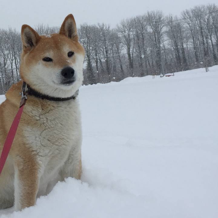 294aea95 05cf 4fcc ab46 0b8927f01926