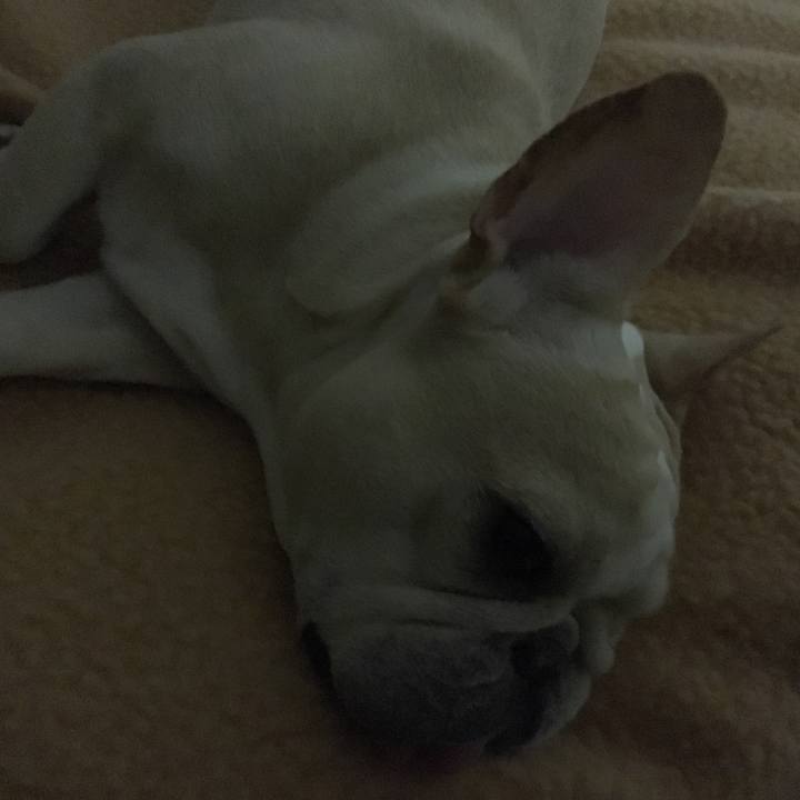 294b35fa e24c 4634 ae55 f24140635116