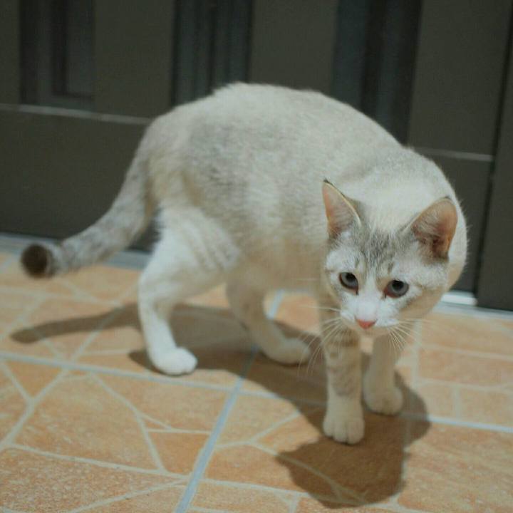 294b6479 3baa 447c 9b68 09d9720c2133