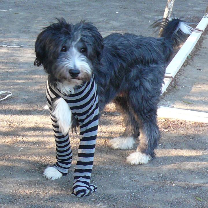 294bad08 e471 4278 aa58 eaa24e958558