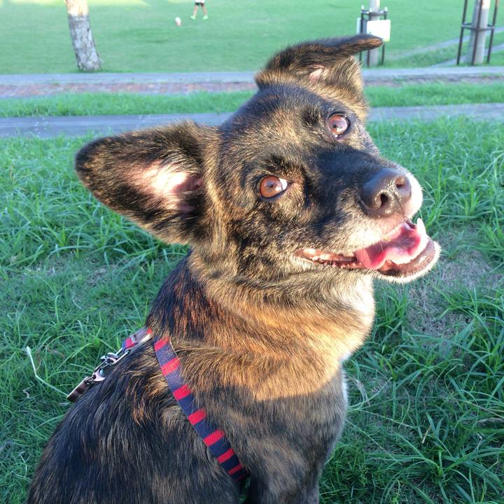 294c7626 c004 4111 a67d ec914285a834