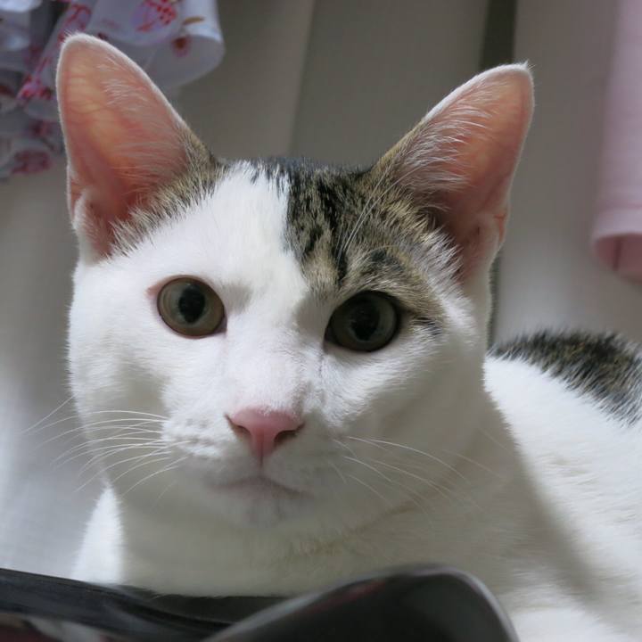 294de91e 8671 479c ae10 1919eec821c8