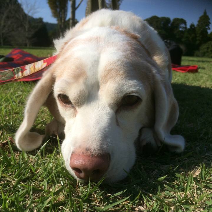 294ee500 9fdd 4d62 8c5b 303b0a18cdb6