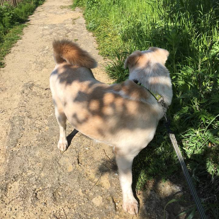 294f8871 9cc1 437b 9357 879422b79568