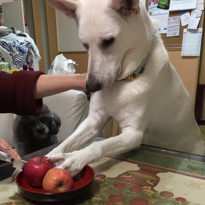 294f992d 6d82 4e4b 86e5 8bc18409ffeb