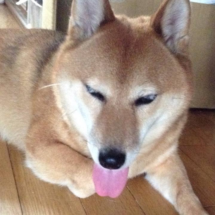 294fb36e d8c4 4115 a879 5b252440eebf