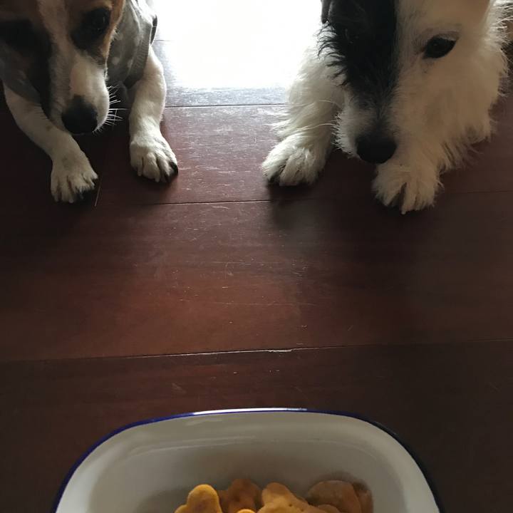 294fea1e 33da 44e3 8961 133dbd5f3155