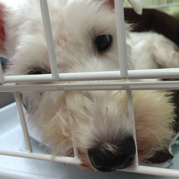 29503f07 2790 49a6 b136 82bb7616f49f