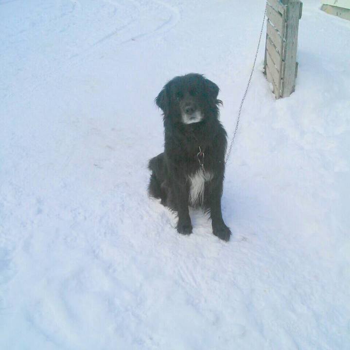 2950923e 414e 4fef aaf1 ebeecb1cdfe4