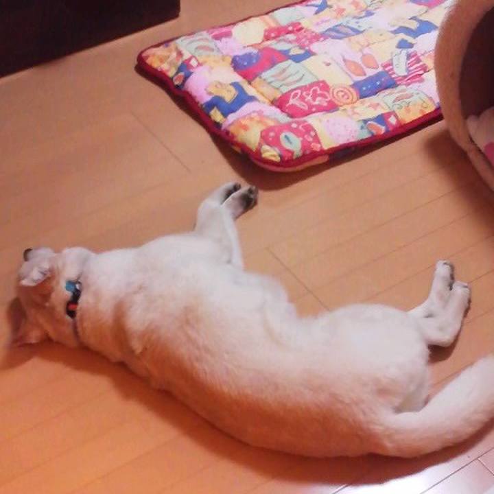 29513ac6 3b78 4090 8b3e 65b71353cfed