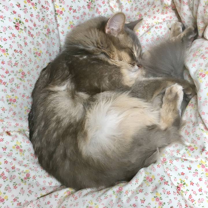 29515afc 3e86 4af2 851b 2ede21f981c7